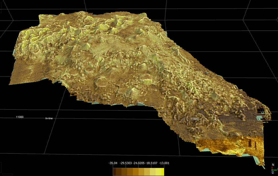Multibeam bathymetry of Hodgkins Seamount with backscatter mean curvature overlain