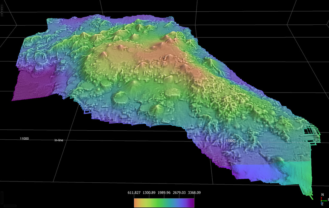 Multibeam bathymetry of Hodgkins Seamount with mean topographic curvature overlain