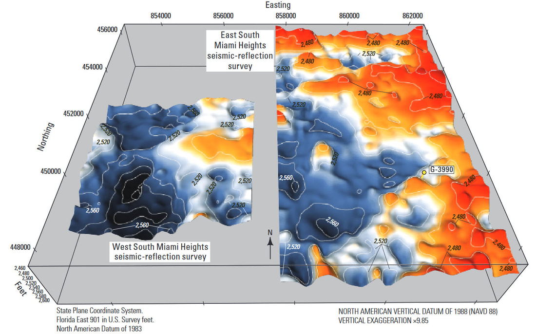 Mapped horizon surfaces from the East and West South Miami Heights seismic-reflection surveys